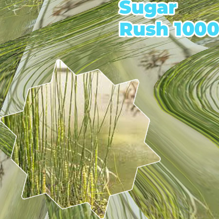 Sugar rush 1000 free